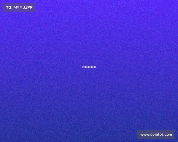 赛事运营简介怎么写